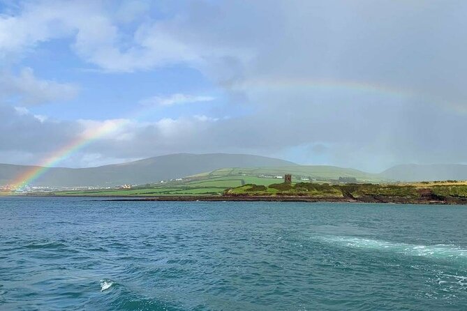 1 hour Dingle Bay Cliff Tour - Meeting the boat on Dingle’s pier