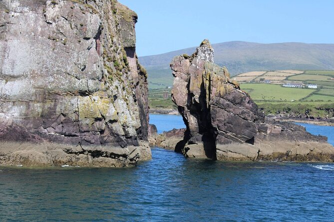 1 hour Dingle Bay Cliff Tour - Eask Tour and the first views of Dingle Bay