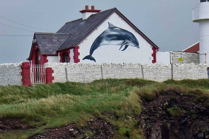 1 hour Dingle Bay Cliff Tour - Why the one-hour length works