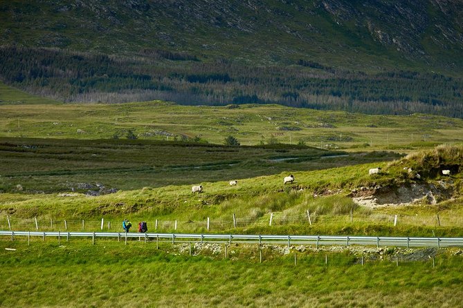 2-Day Western Ireland Tour from Dublin:Including Galway and Cliffs of Moher - Two hours in Galway City