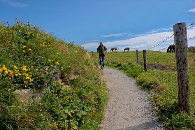 2-Day Wild Atlantic Way Tour From Dublin - The return to Dublin through Adare