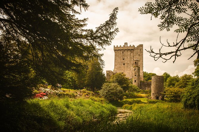3-Day Blarney Castle, Kilkenny & Irish Whiskey Tour Inc Admission - Blarney Castle leaves choices in your hands