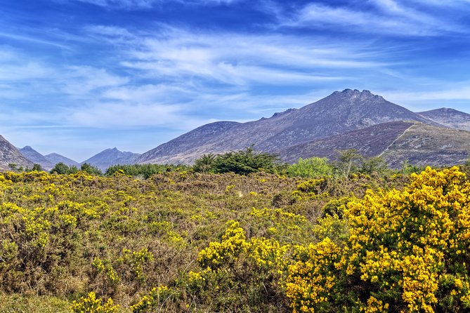 3-Day Discover Northern Ireland Small-Group Tour from Dublin - Who will enjoy this trip most?