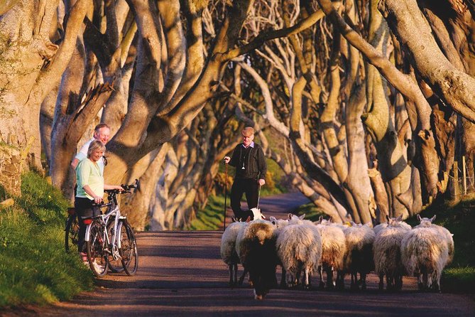 3-Day Northern Ireland Tour from Dublin: Giant’s Causeway & Titanic Experience - The Dark Hedges makes a quick photo stop