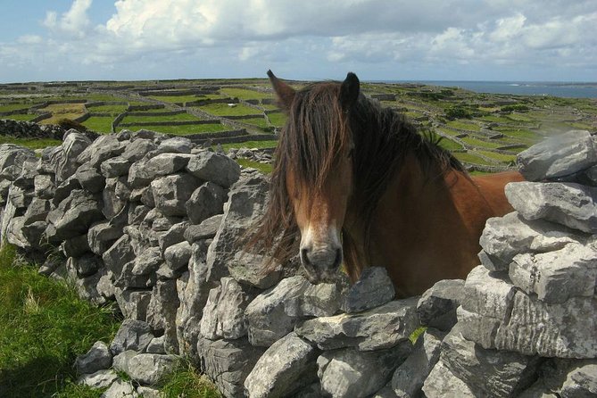 3-Day Southern Ireland Tour Including Galway and Kerry from Dublin - Day 2: The Wild Atlantic Way and the Burren