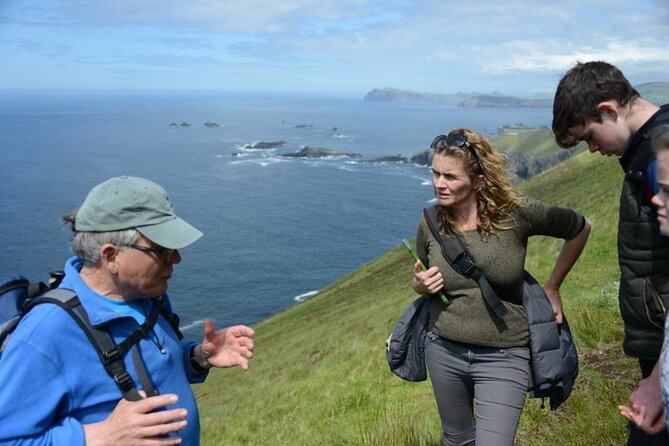 4 Hours Dingle Peninsula Private Tour - Why Slea Head makes a strong half-day outing