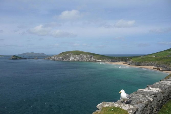 5-Day Northern Ireland and Atlantic Coast Small-Group Tour from Dublin - Mayo, famine history, and the road to Achill Island