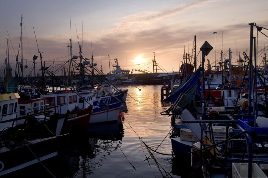 6-Day Tour of Southern Ireland from Dublin - The route is the biggest practical concern