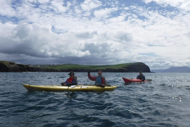 7-Day Great Atlantic Adventure Small-Group Tour of Ireland from Dublin - Day 4: Sheepdogs and the Cliffs of Moher