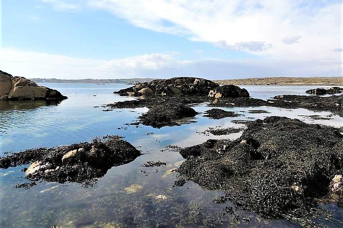 Abalone farm tour and tasting with coastal seaweed walk. Guided. 2 hours - Who will enjoy this most?
