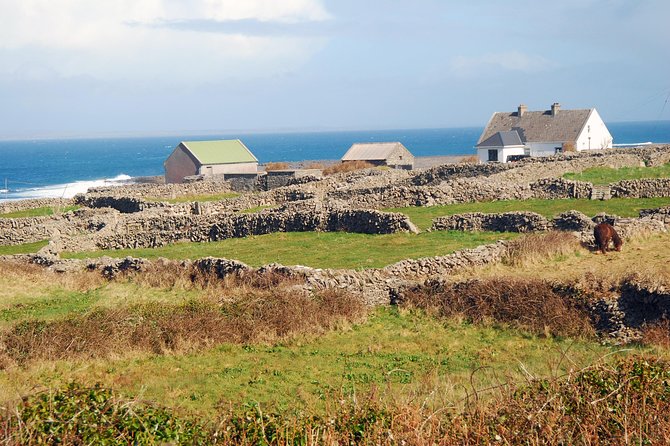Aran Island, Cliffs of Moher & Cruise tour from Galway. Guided. - The return through Lisdoonvarna and the Burren