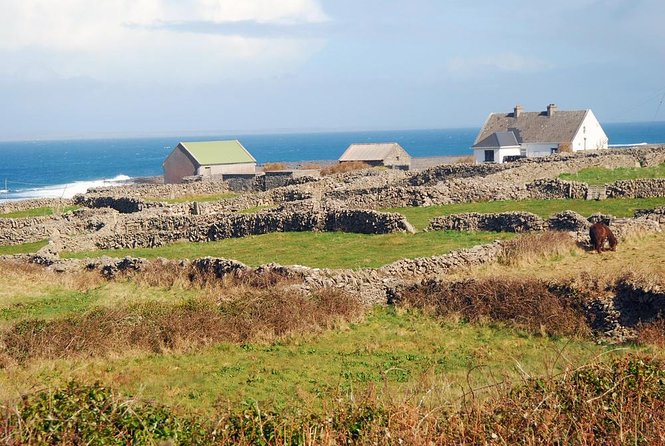 Aran Islands Bike Tour with Tea and Scones from Galway - Key points to know before you book