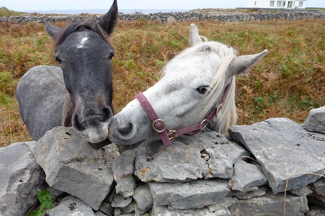Aran Islands Scenic Flight and Galway Rail Tour from Dublin - Dun Aonghasa and the Atlantic cliff edge