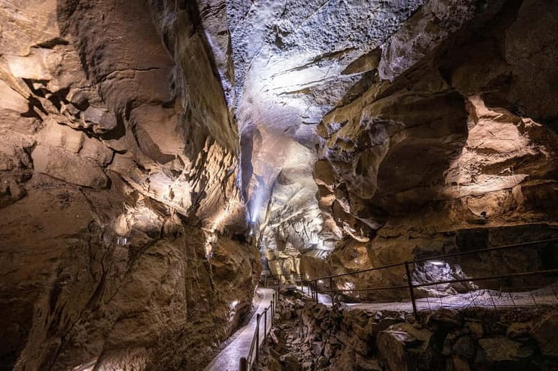 Ballyvaughan: Aillwee Burren Experience Entry Ticket - Key points to know before you go