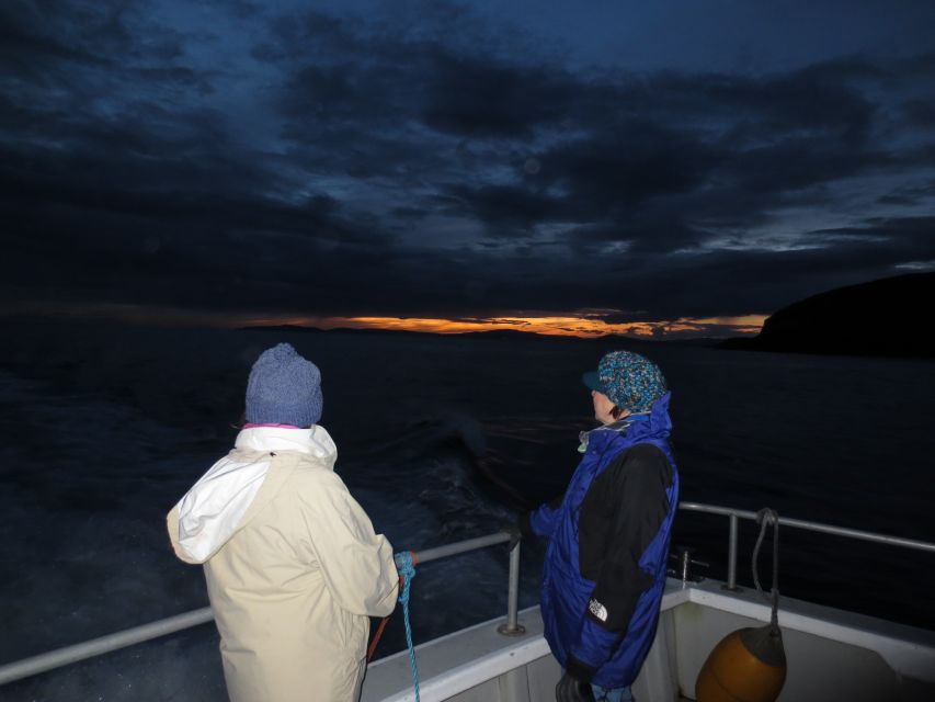 Baltimore Harbor: Sunset Cruise to Fastnet Rock Lighthouse - Gascanane Sound and Cape Clear