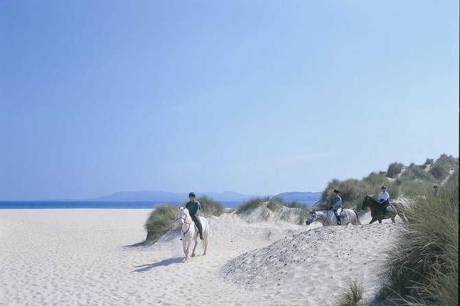 Beach & countryside horse riding outside Westport. Guided. 1 hour - Walking, trotting, and cantering on the strand