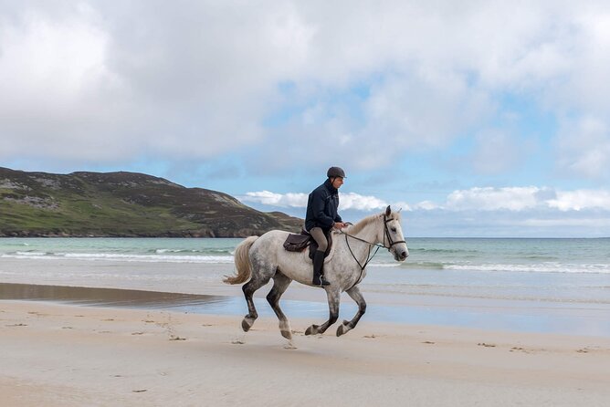 Beach & countryside horse riding outside Westport. Guided. 1 hour - Who should book this ride?