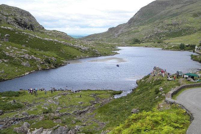 Best Ring of Kerry Tour ex Killarney inc Killarney National Park - The sheepdogs are the tour’s most memorable extra