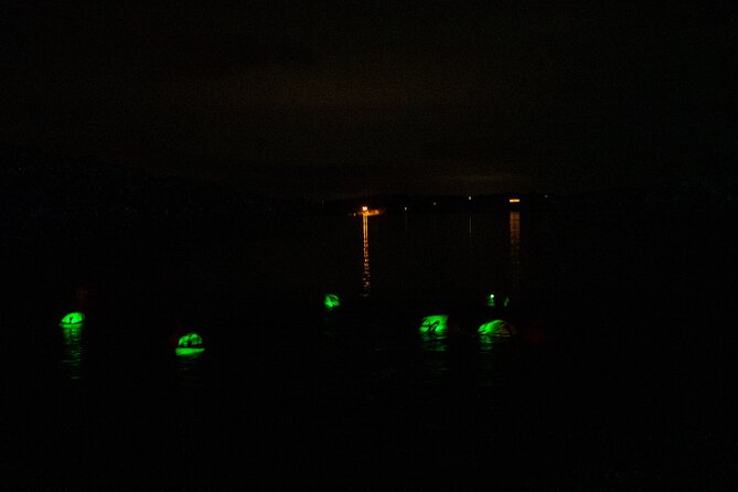 Bioluminescent Swim Experience in West Cork with Storytelling - Key details of the glowing swim