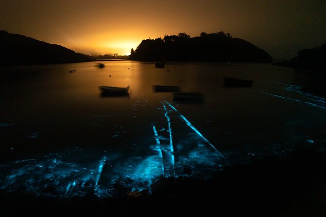 Bioluminescent Swim Experience in West Cork with Storytelling - Meeting Conor and Selene in Castletownsend