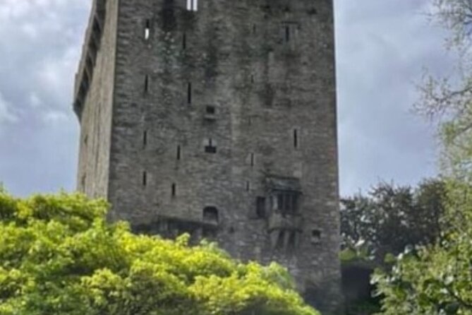 Blarney Castle and Cork City 2025 award winning minibus tour - Cork history with Sean Houlihan