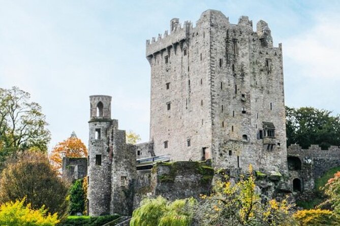 Blarney Castle and The Rock of Cashel with Private Chauffeur Tour - The Rock of Cashel and its medieval skyline