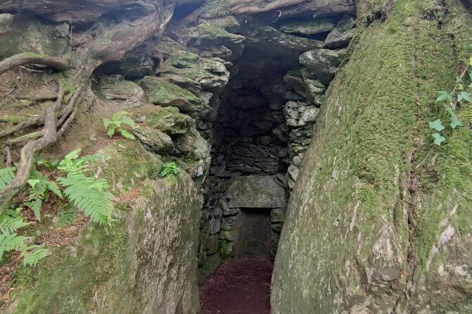 Blarney Castle Cork City and Jameson Distillery Small groups - Guides and the feel of a small group