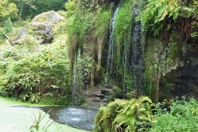 Blarney Castle Cork City and Jameson Distillery Small groups - Is $247.84 a fair price?