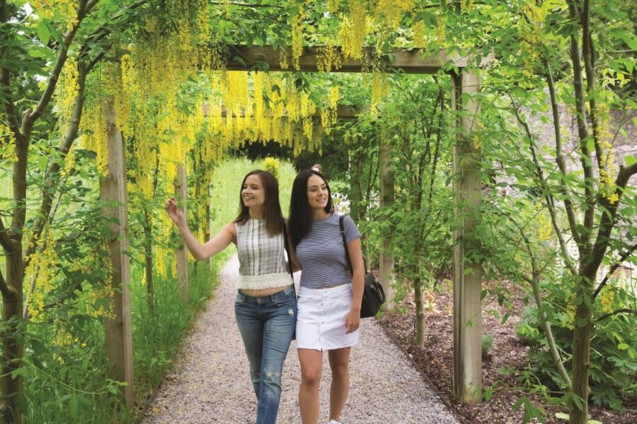 Blarney Castle Full-Day Tour from Dublin - Why this long day from Dublin makes sense
