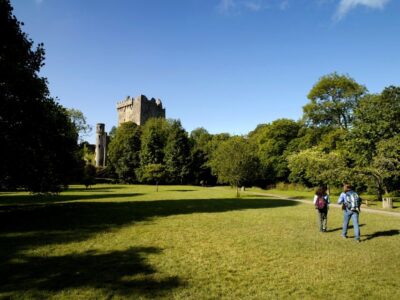 Blarney Castle Full-Day Tour from Dublin