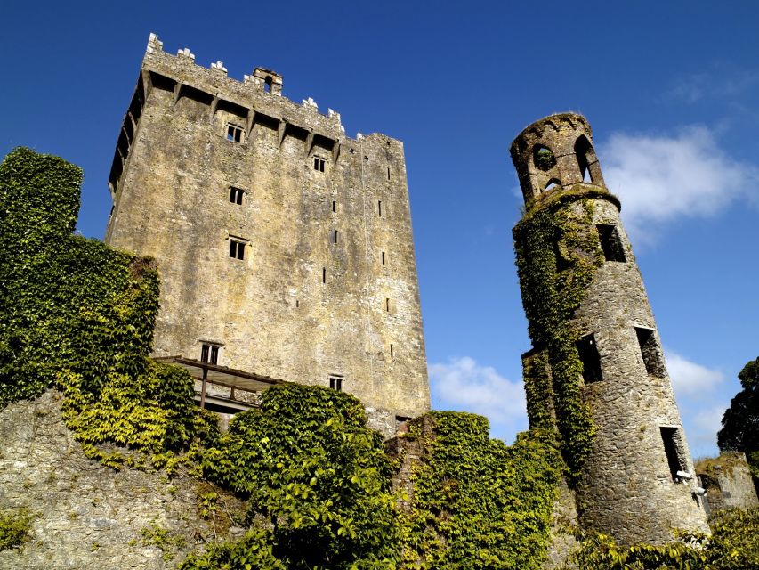 Blarney Castle Full-Day Tour from Dublin - The gardens and the Witch’s Cave