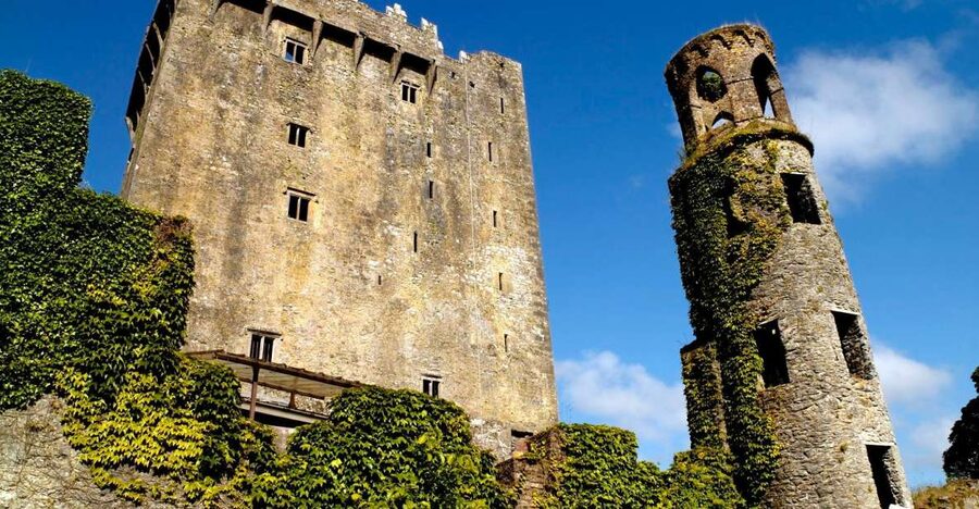 Blarney Castle Full-Day Tour from Dublin - The guides make the bus time count