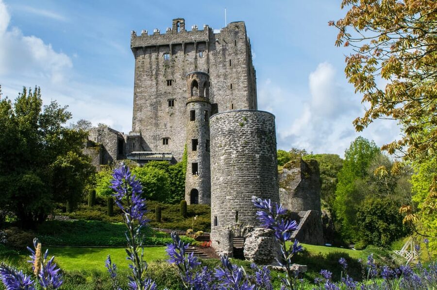 Blarney Castle: Private Guided Day Tour from Dublin - Blarney Woollen Mills for lunch and shopping