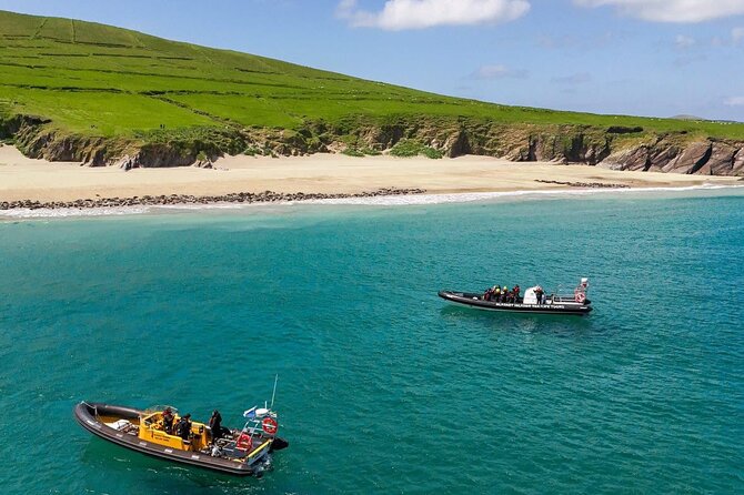 Blasket Island Sea Life Rib Tour, - Key points before you book