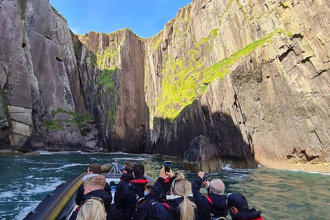Blasket Island Sea Life Rib Tour, - Watching for dolphins, whales, seals, and puffins