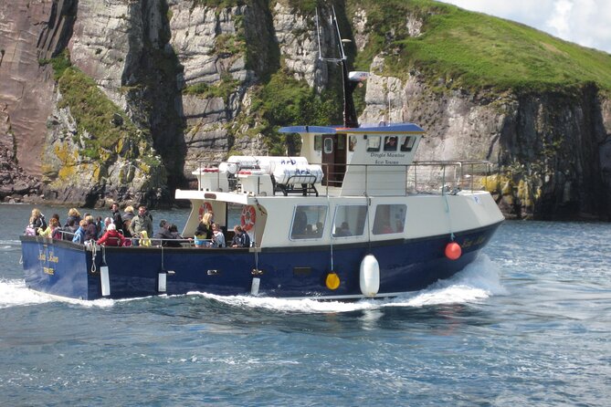 Boat Tour of Dingle Peninsula - Setting Out From Dingle Marina