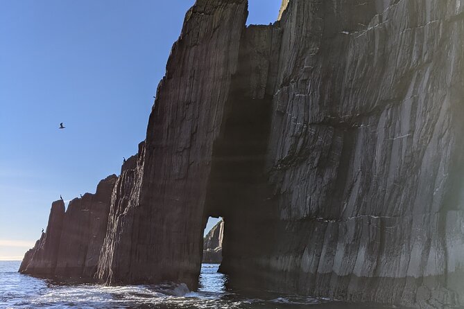 Boat Tour of Dingle Peninsula - Who Will Enjoy This Trip Most