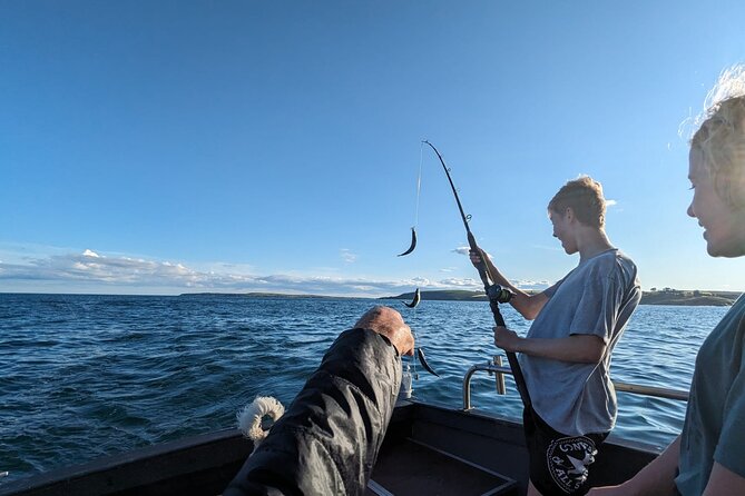 Boat Tour of Kinsale Harbour and Bandon River - Key points to know before booking