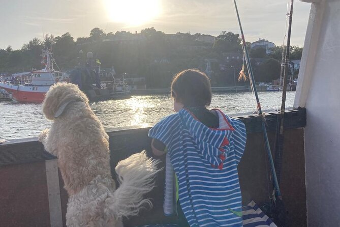 Boat Tour of Kinsale Harbour and Bandon River - What the three to four hours on the water include