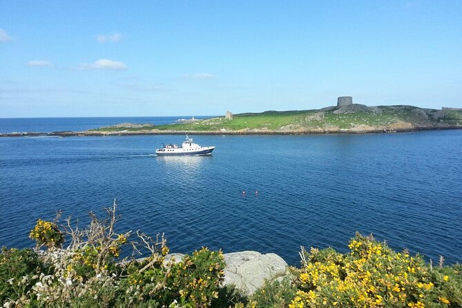 Boat Trip from Dublin City to Dun Laoghaire - Should you book the Dublin to Dun Laoghaire cruise?