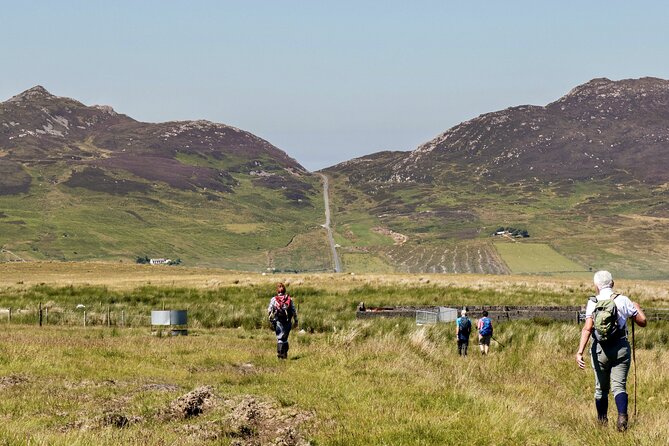 Bog Safari Hike - Key points to know before you book