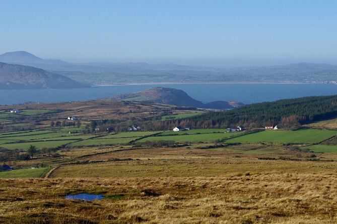 Bog Safari Hike - Why a Donegal bog deserves your time