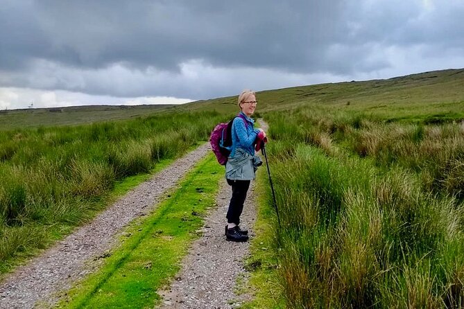 Bog Safari Hike - Reading the bog through peat, myth, and work