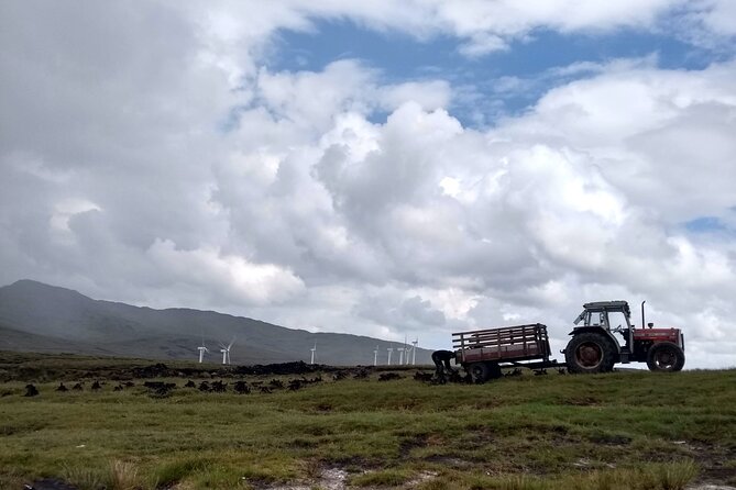 Bog Safari Hike - An ancient monastic site in an open setting