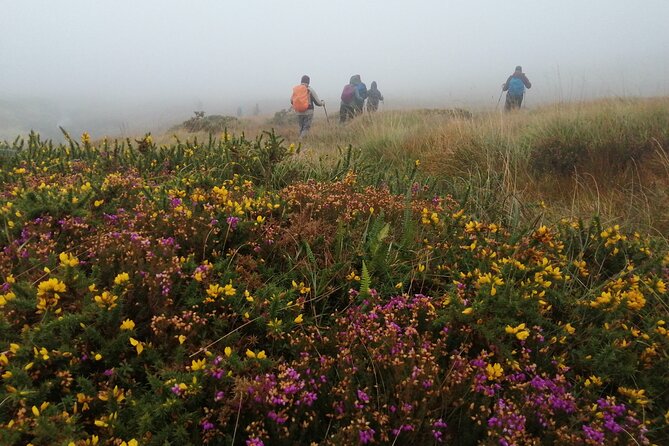 Bog Safari Hike - Biodiversity, climate concerns, and green energy
