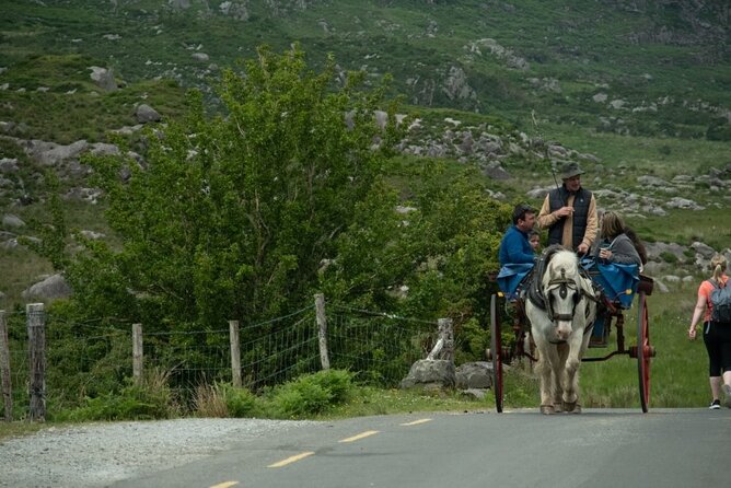 Bus, Boat & Jaunting Cart Tour (Jaunting Cart Paid Separately) - Is $70.14 a fair price?