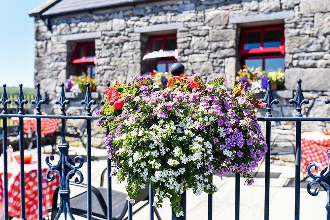 Caherconnell Fort & Sheepdog Demonstrations - Why Caherconnell is more than a sheepdog show