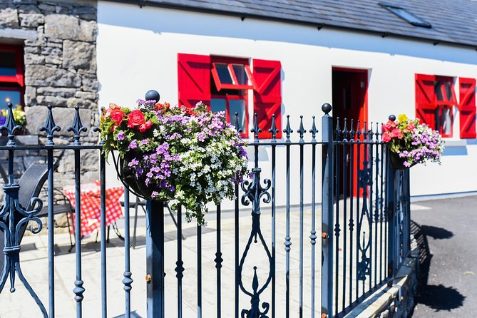 Caherconnell Fort & Sheepdog Demonstrations - The cafe and shop make the stop easier