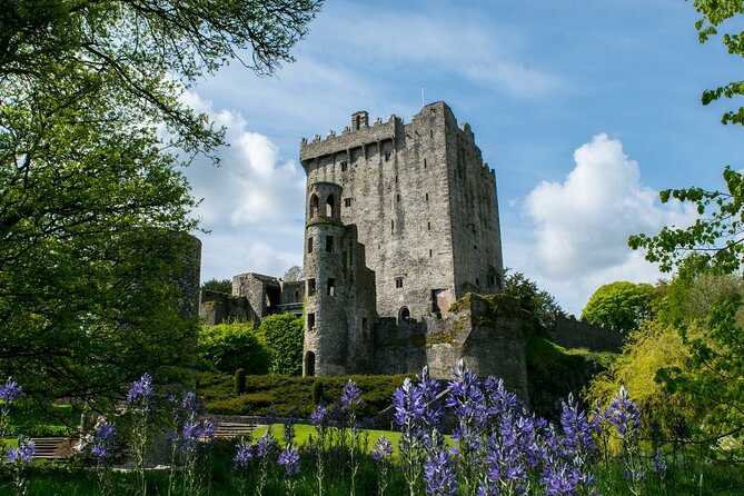 Chauffeur Blarney and Cork Private Day Tour from Dublin - One hour in Cork and a taste of the English Market