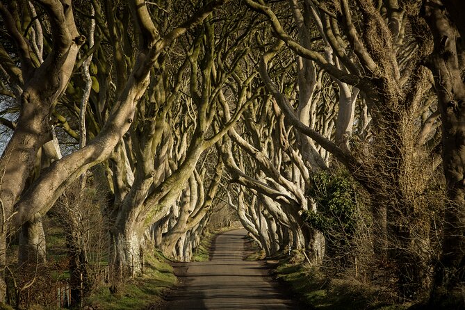 Chauffeur Giants Causeway & Belfast Private Day Tour From Dublin - One hour in Belfast breaks up the return